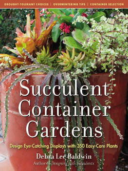 Debra Lee Baldwin - Succulent Container Gardens: Design Eye-Catching Displays with 350 Easy-Care Plants