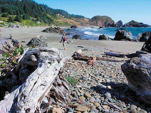 Samuel H Boardman State Scenic Corridor Considering the scenic splendor of the - photo 11