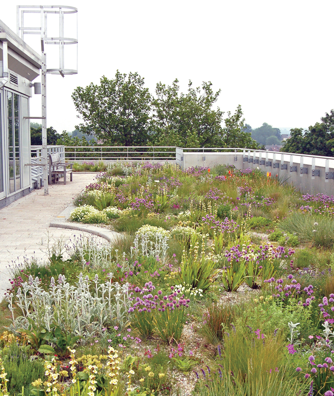 A green roof around a conference facility Moorgate Crofts Rotherham - photo 4