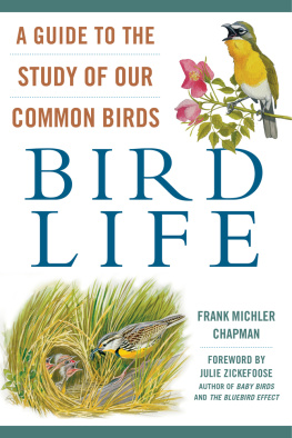 Frank M. Chapman - Bird Life: A Guide to the Study of Our Common Birds