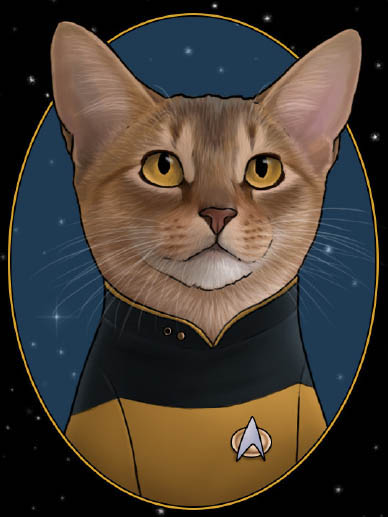 Lieutenant Reginald Barclay Counselor Deanna Troi Ensign Wesley Crusher - photo 12