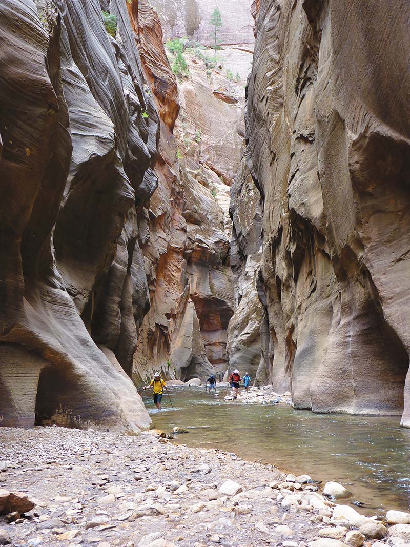 HIKE THE NARROWS IN ZION Plod upstream in the rocky water of the North Fork - photo 12