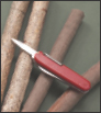 Complete Starter Guide to Whittling 24 Easy Projects You Can Make in a Weekend - image 17