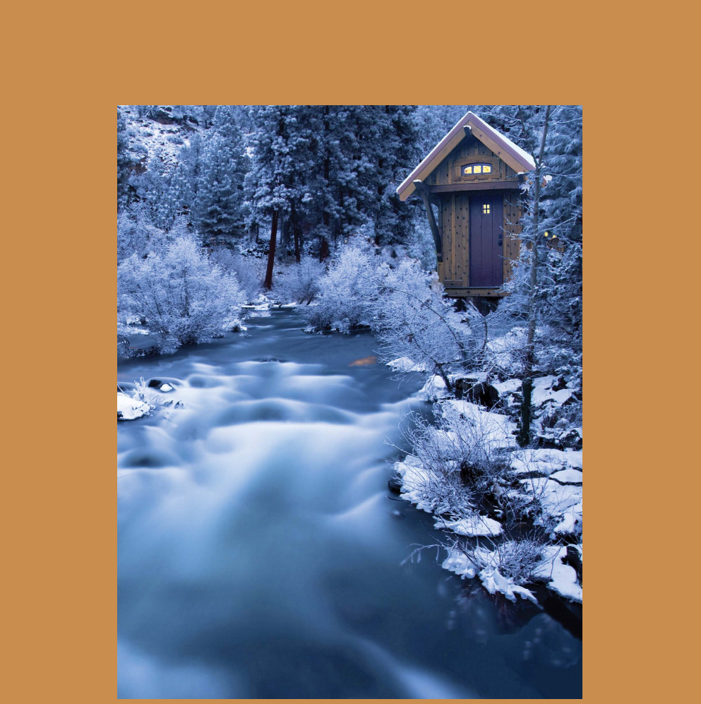 The Gifford makes a welcome and cozy retreat alongside this frozen creek Tiny - photo 9