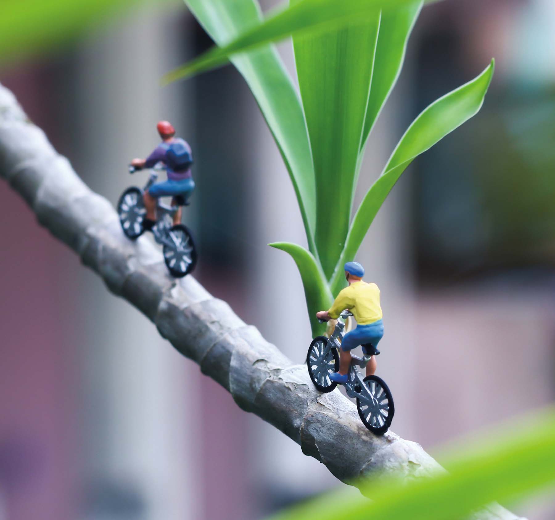 Branch Biking Miniature figures and branch Jon Almeda Pot Posse Aqua - photo 2