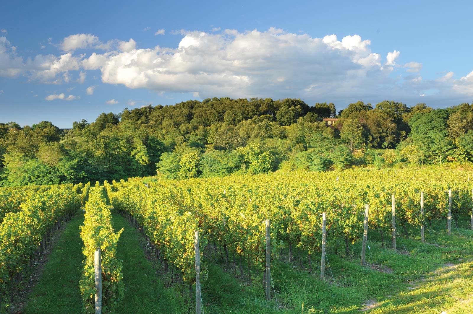 Sipping a glass of Franciacorta wine at one of the along the Franciacorta wine - photo 11