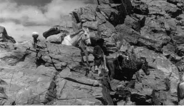 Crossing the Chamar Pass Shir Muhammad with the chestnut and Badar Bahadar - photo 7