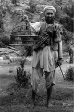 The proud owner of a prize fighting partridge in the Ramgul Wilfred - photo 12