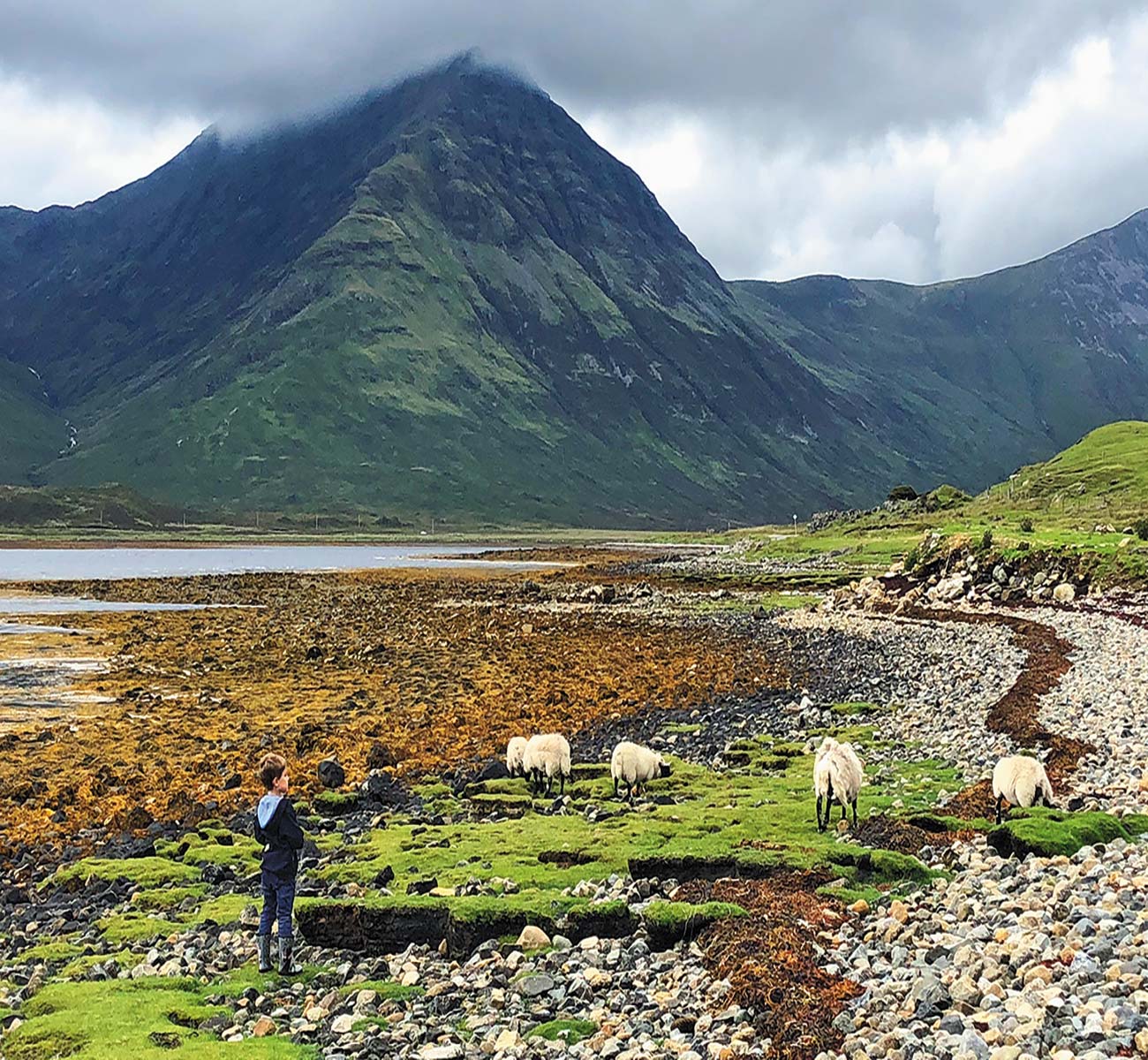 the rural village of Torrin on the shores of Loch Slapin Highland cattle - photo 7