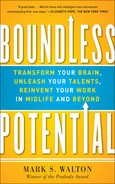 Mark S. Walton - Boundless Potential: Transform Your Brain, Unleash Your Talents, and Reinvent Your Work in Midlife and Beyond