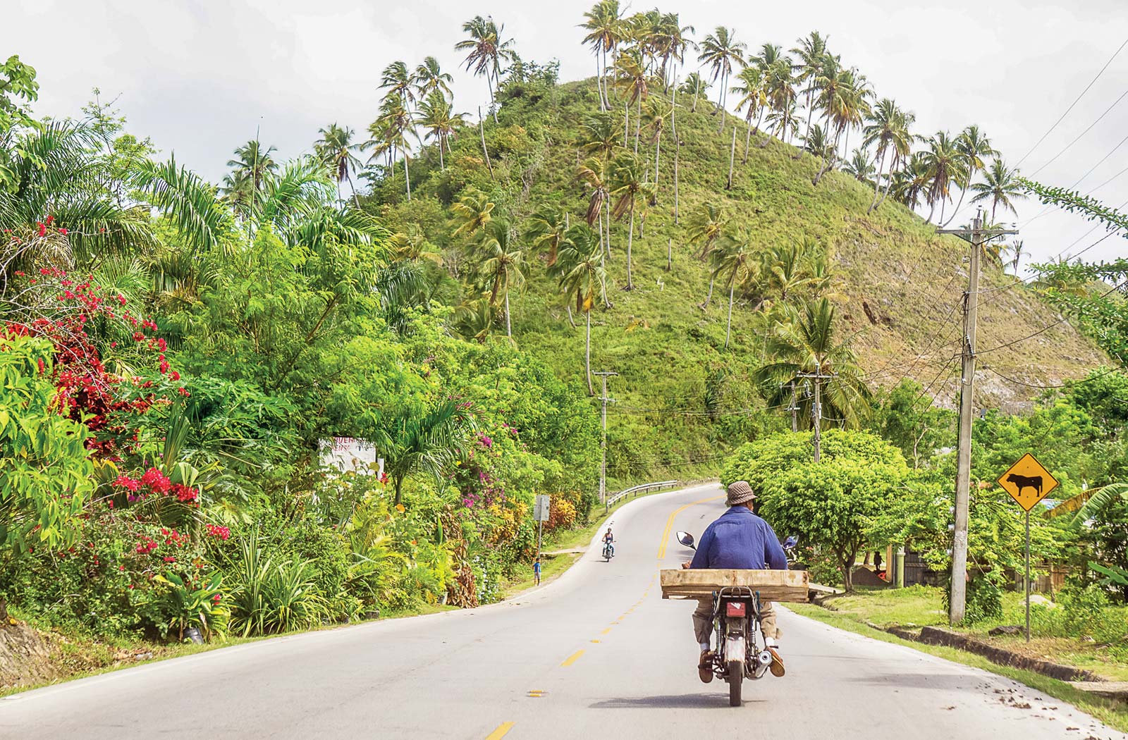 road to Miches Its no surprise that the Dominican Republic consistently ranks - photo 8