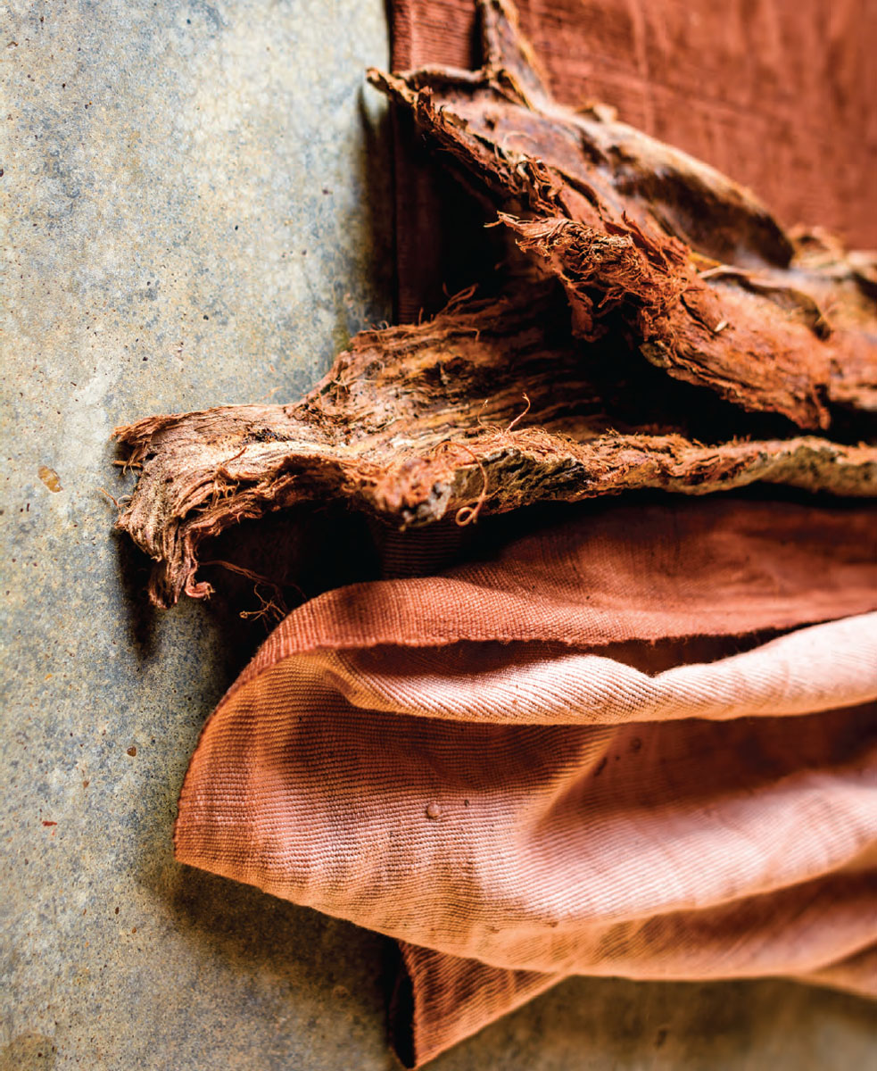 Bark and bark-dyed cloth by Boubacar Doumbia The color yielded by avocado - photo 7