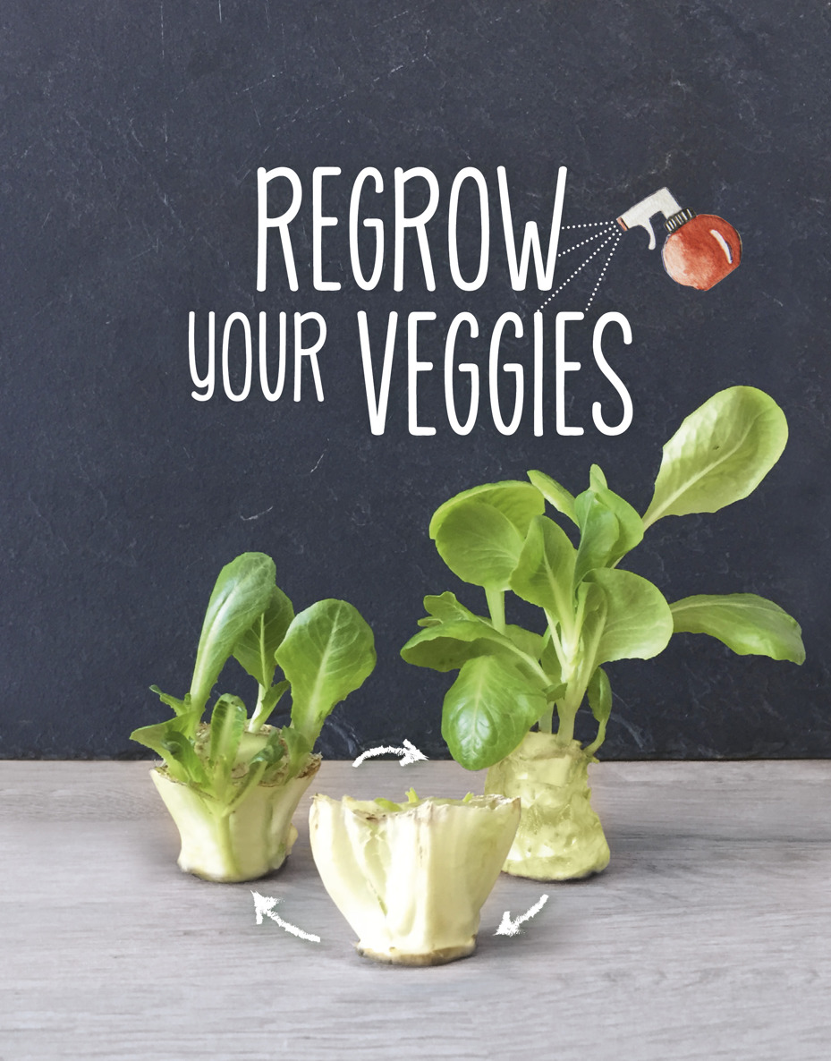 Regrow Your Veggies CompanionHouse Books is an imprint of Fox Chapel - photo 1