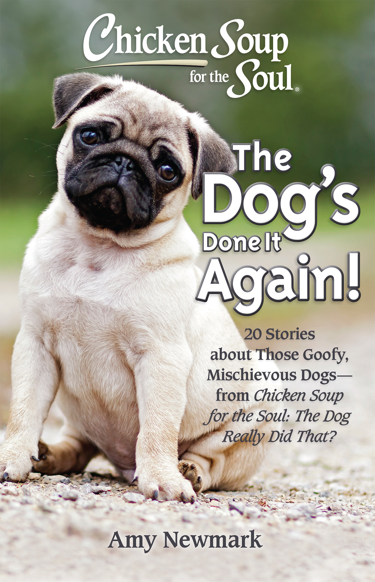 Chicken Soup for the Soul The Dogs Done It Again 20 Stories about Those - photo 1