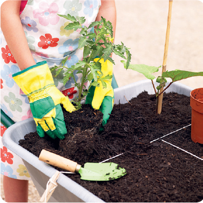 Potting on When a plant is becoming too big for its pot you can pot it on to - photo 16