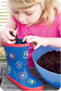 sowing and growing Children love to watch seeds sprout and then go on to - photo 10