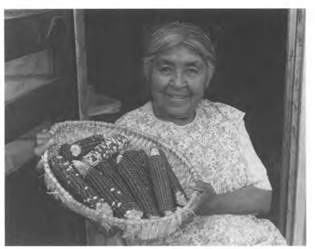 Abigail Kaursgowva of Hotevilla holds a plaited sifter basket filled with ears - photo 2