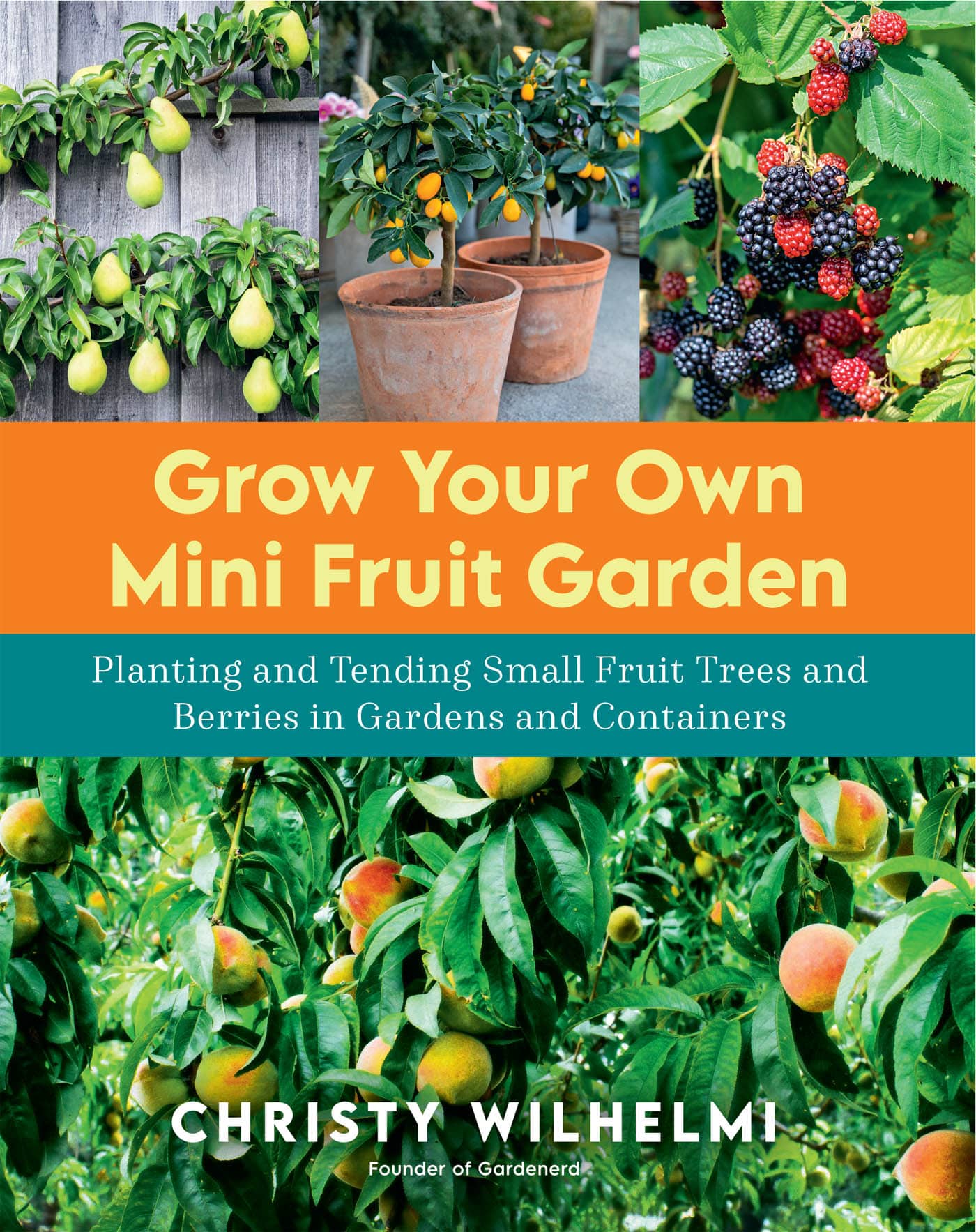 GROW YOUR OWN MINI FRUIT GARDEN Planting and Tending Small Fruit Trees and - photo 1