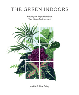 Maddie Bailey The Green Indoors: Finding the Right Plants for Your Home Environment