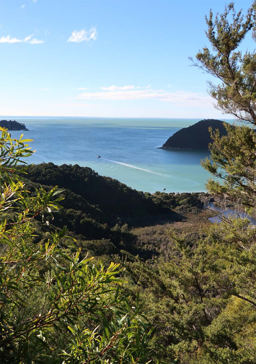 In 1642 the explorer Abel Tasman sailed past the land that would later become - photo 6