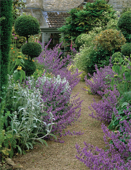 Clipped balls of box holly and privet and mirrored plantings of Phlomis - photo 9