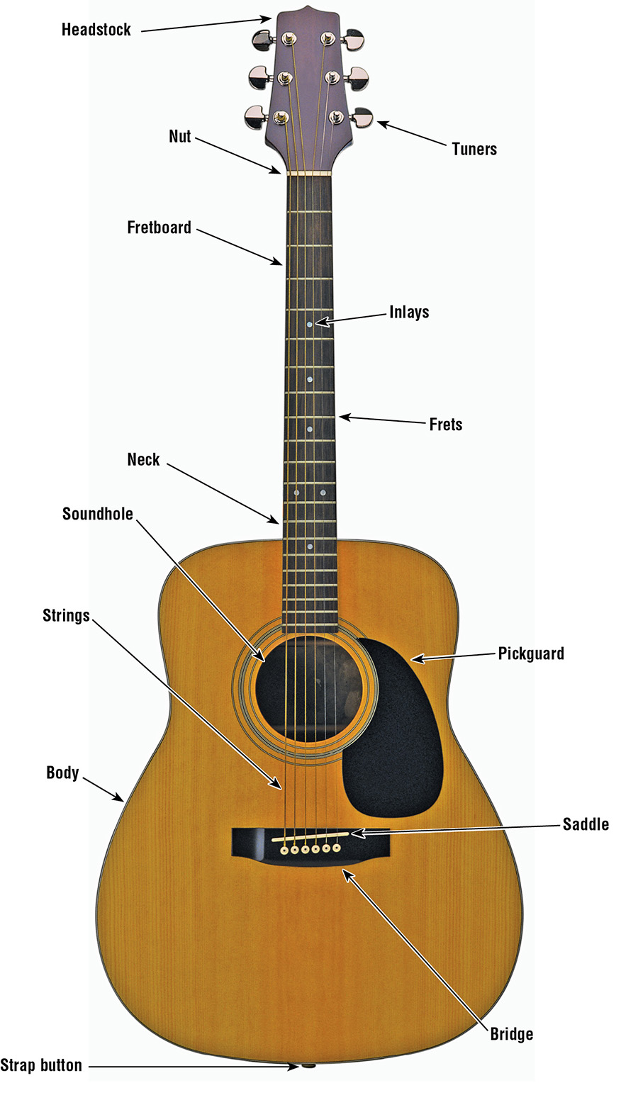 ELECTRIC Body Common woods for electrics include maple alder ash and - photo 4