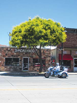 downtown Moab Where to Go Southeastern Utah encompasses some of the - photo 20