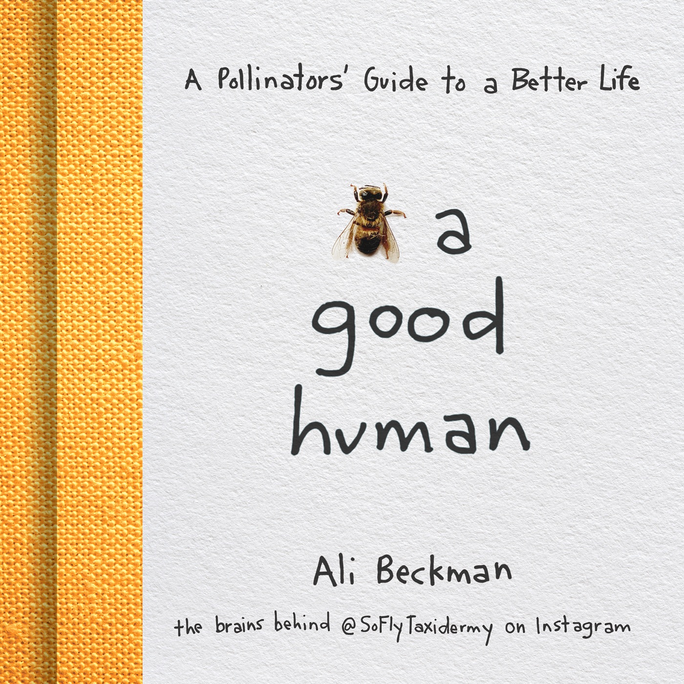 ADVANCE PRAISE FOR BEE A GOOD HUMAN Each page gives you a wry smile a shot - photo 1