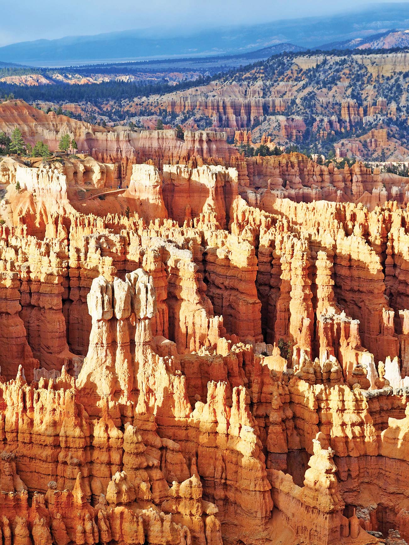 Bryce is even spectacular after darkthe lack of light pollution makes this an - photo 13