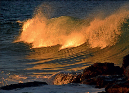 Port Edward Ann Bornman Storms River Mouth Tsitsikamma Fanie - photo 5