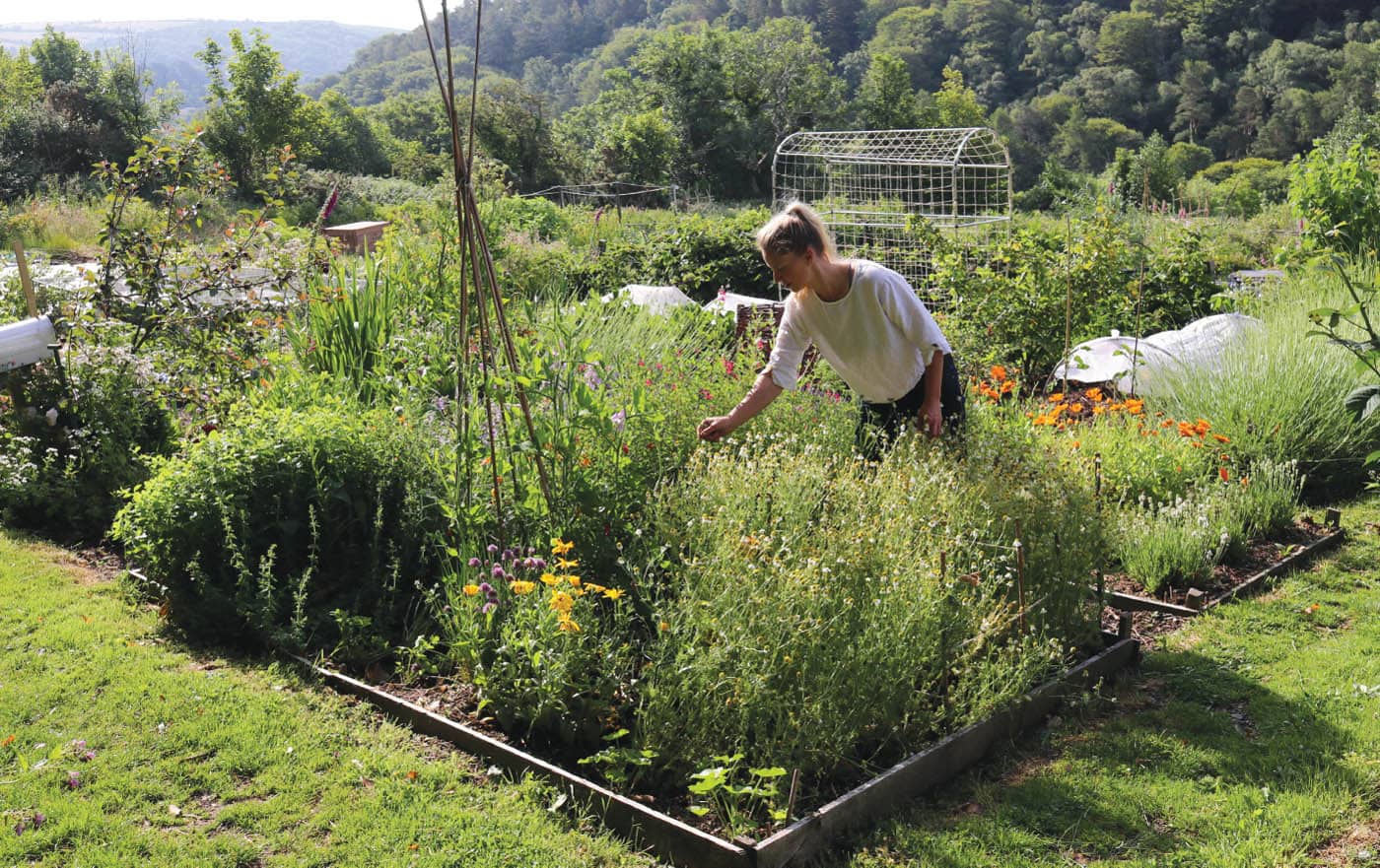 In June the garden bursts into life with herbs and edible crops Its inspiring - photo 10