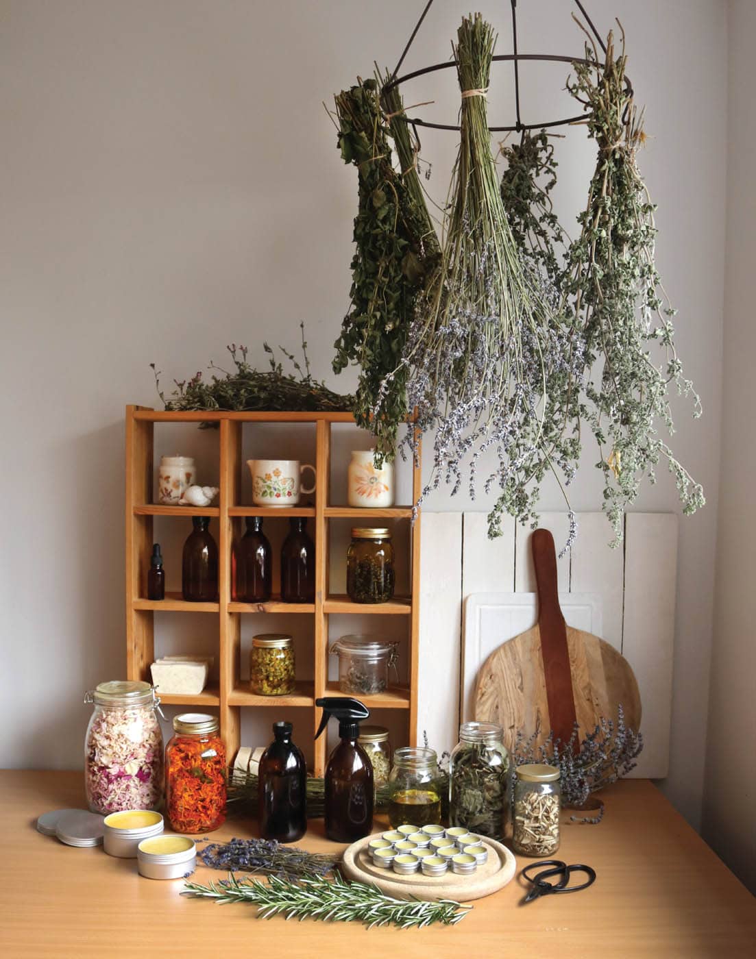 Using plants may involve drying pulsing infusing or cooking them MANY - photo 12