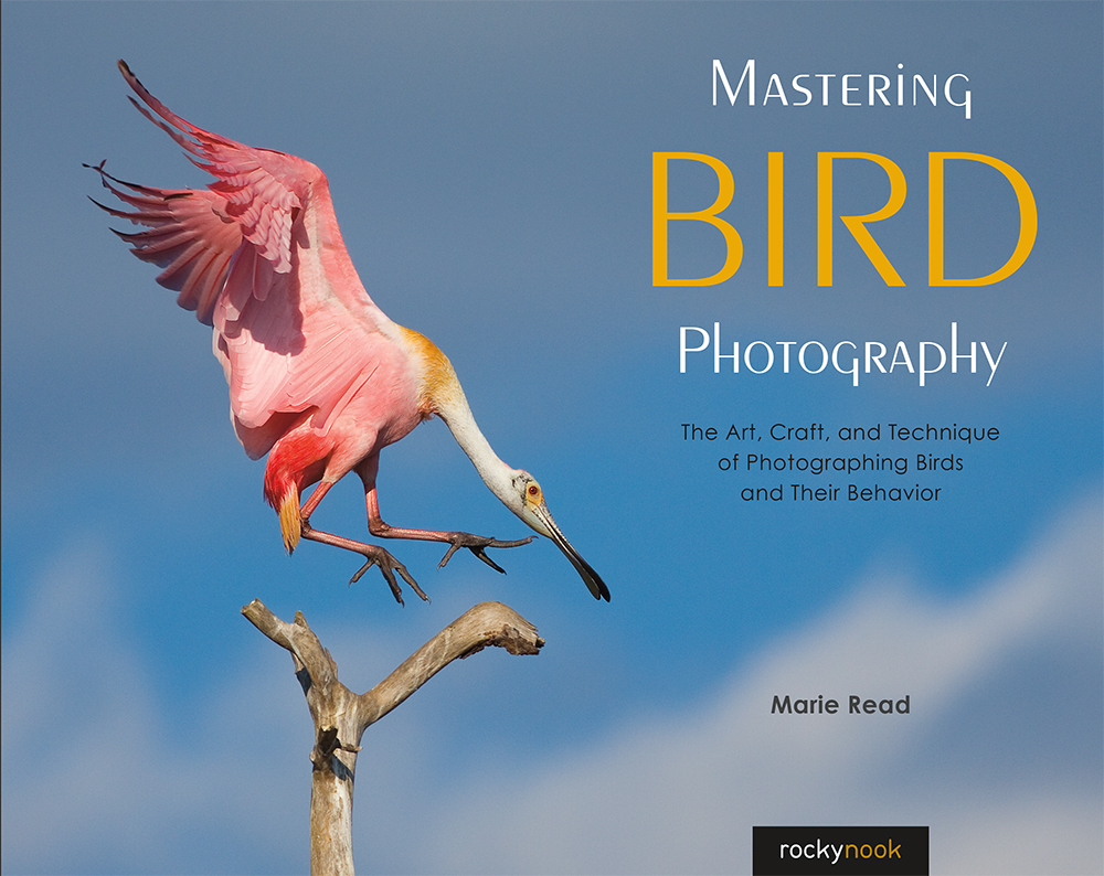 Marie Read Mastering Bird Photography The Art Craft and Technique of - photo 1