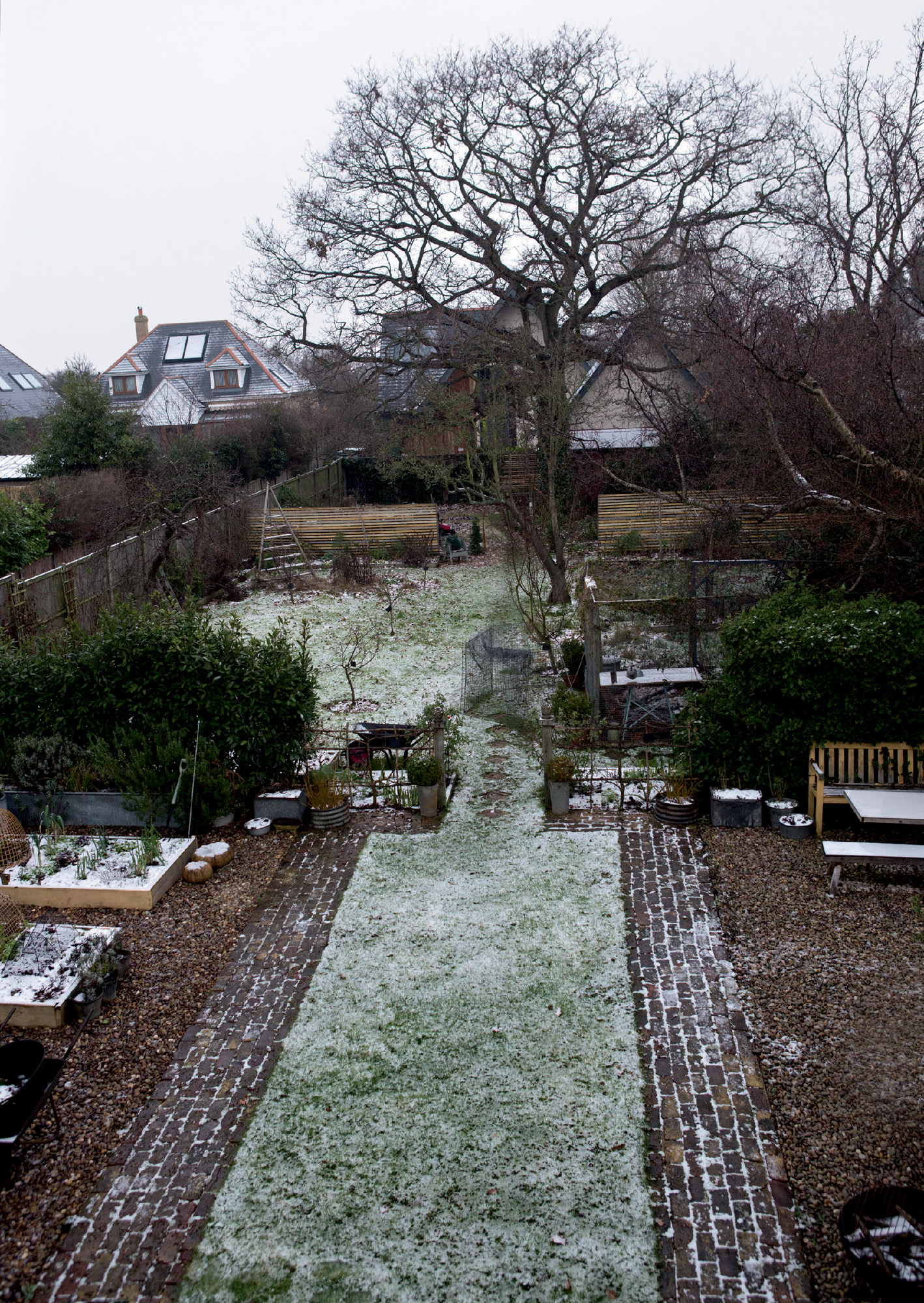 A new gardening year and its time to take stock make plans and build up - photo 15