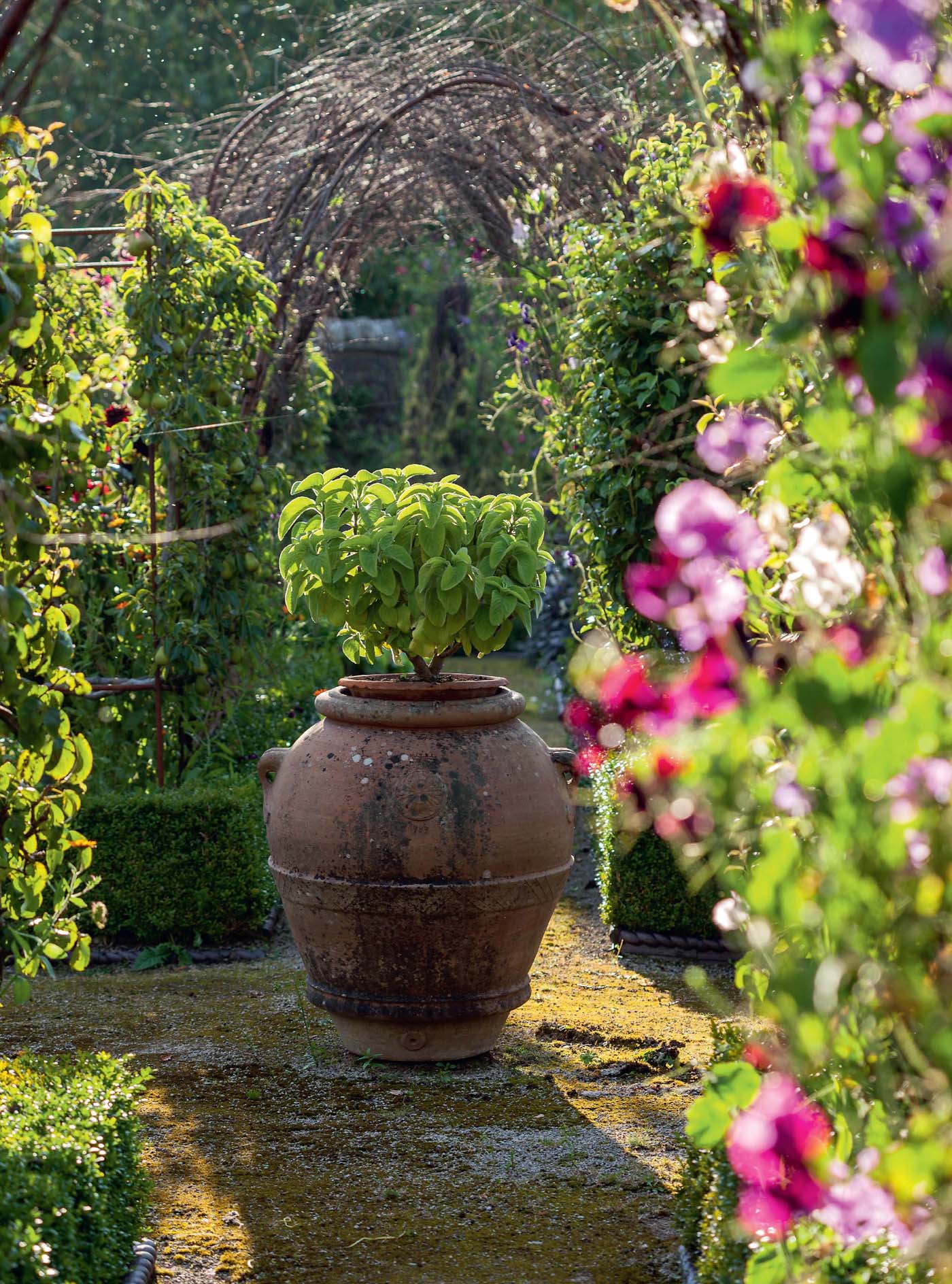 At the centre of Gresgarths Kitchen Garden is an Italian orcio a traditional - photo 4