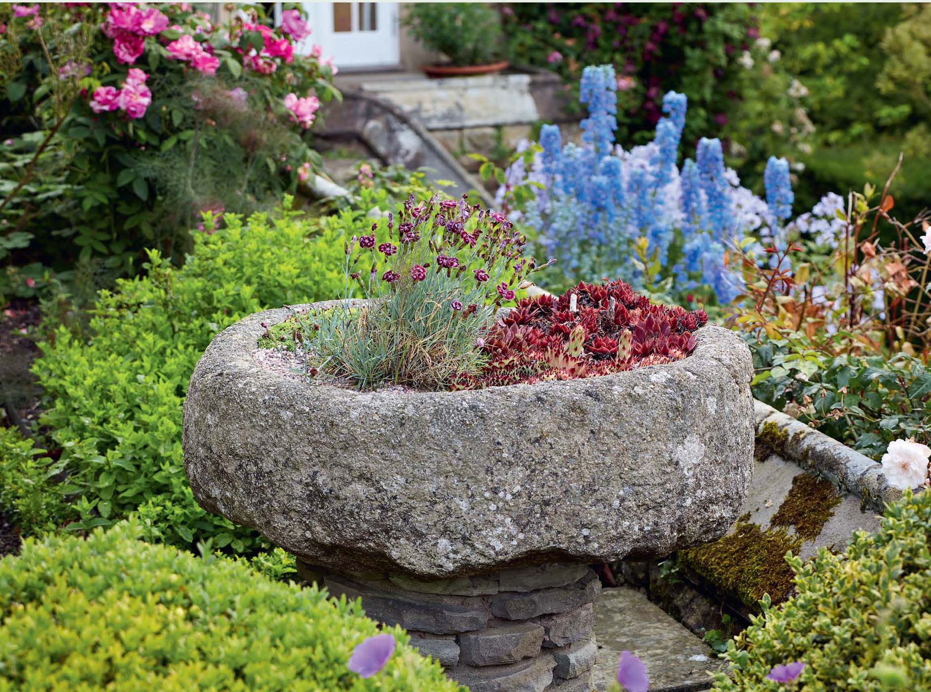 At Gresgarth Alpine Dianthus Red Star and sempervivums are planted in an - photo 6