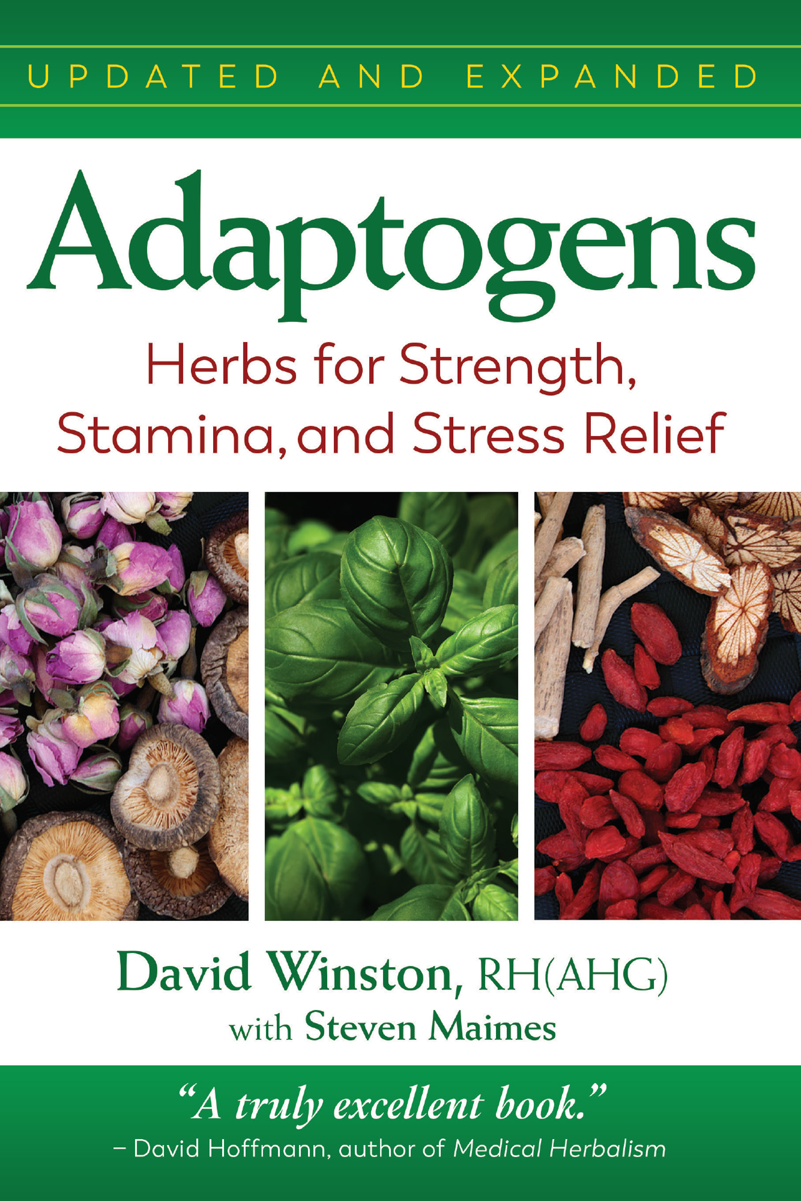 Adaptogens Herbs for Strength Stamina and Stress Relief - image 1