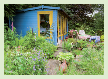 My friend Helens garden in Hove in Sussex Sparrow nest boxes - photo 4