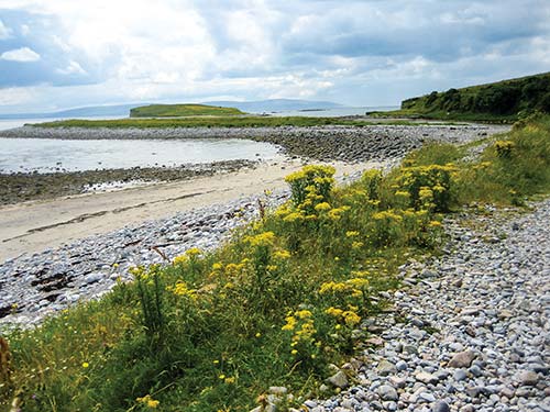 Contents West Cork Clonmacnoise the mos - photo 6