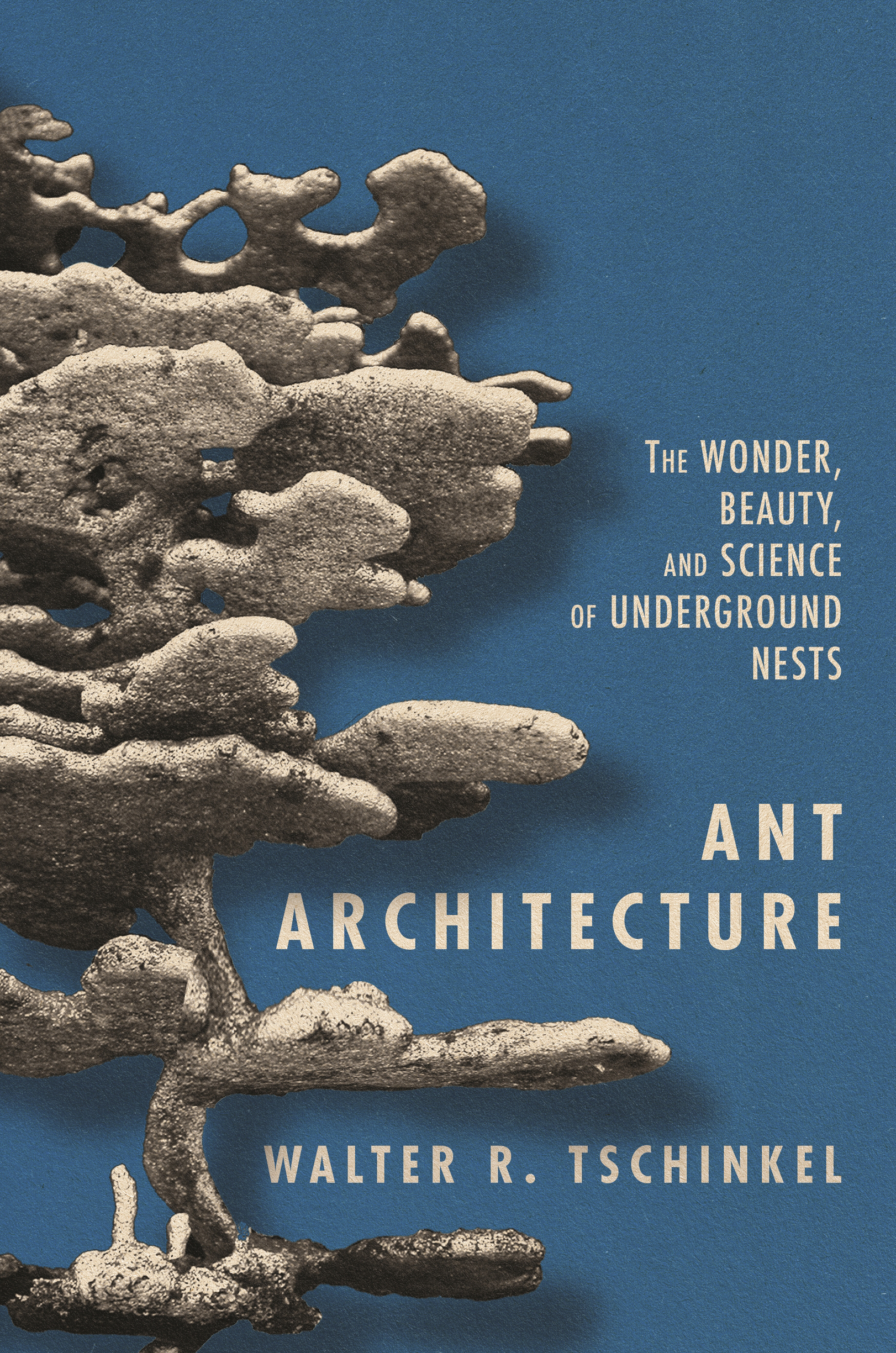 Ant Architecture Ant Architecture THE WONDER BEAUTY AND SCIENCE OF - photo 1