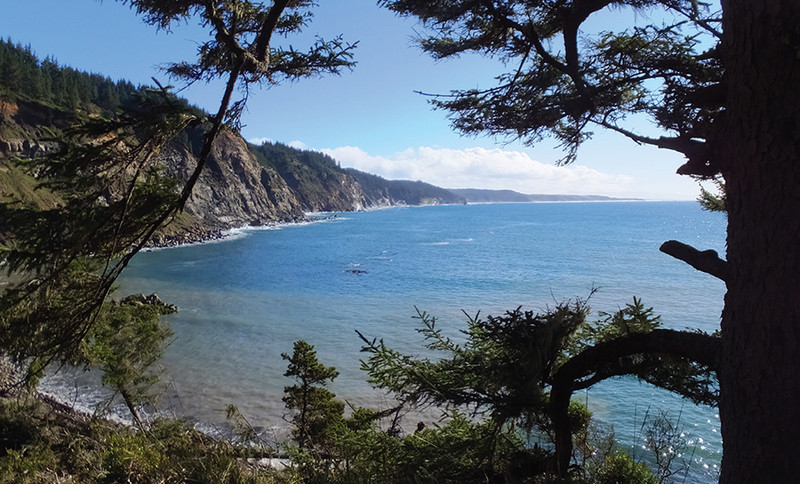 The rugged coast south of Cape Arago can be seen from the capes South Cove - photo 10