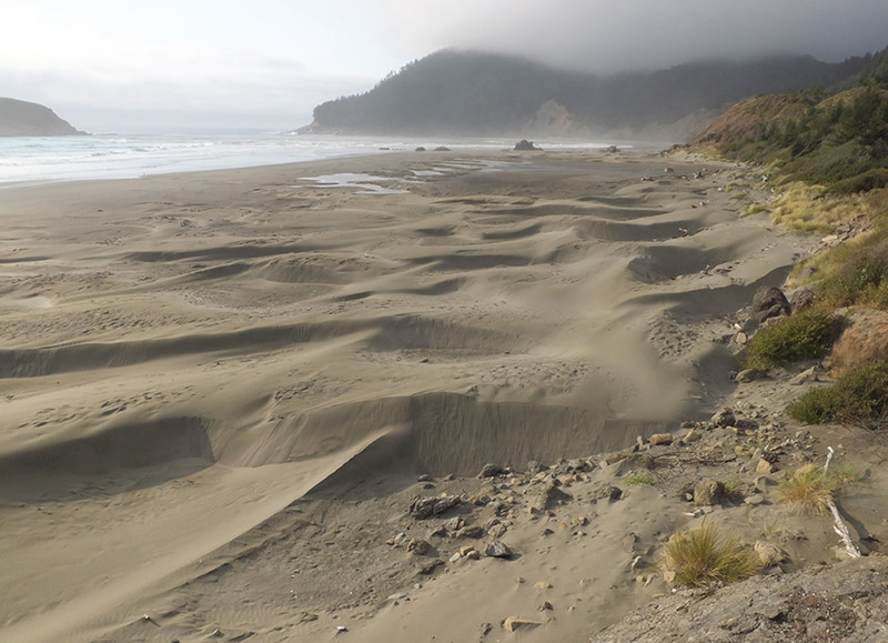 Wind and water sculpt the beach at Myers Creek south of Cape Sebastian - photo 11