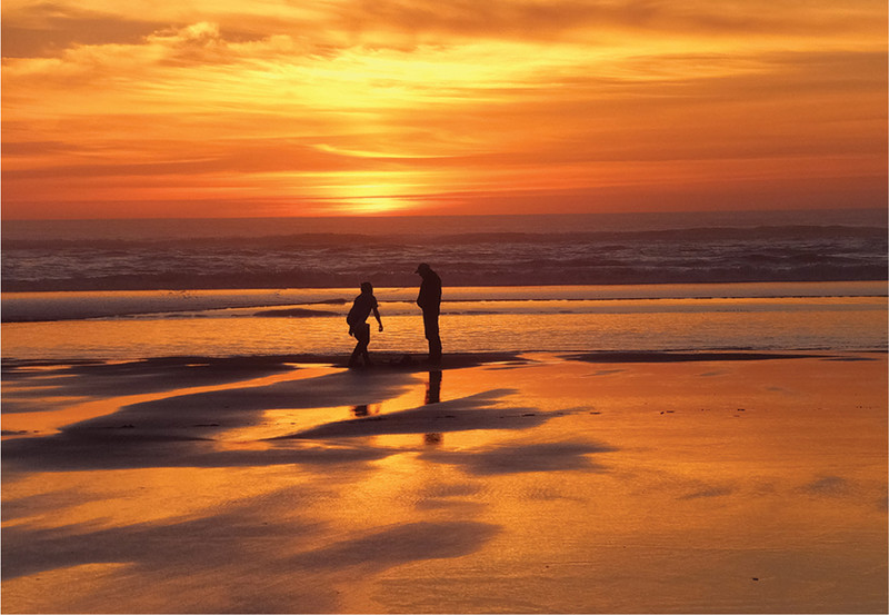 Del Rey Beach near Gearhart is characteristic of the wide beaches north of - photo 4