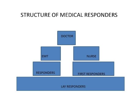 Lay responders are in many cases the first on the scene of an emergency and - photo 11