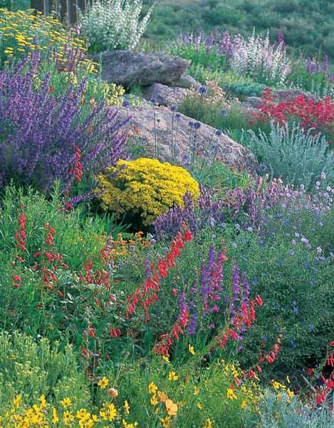 Waterwise Plants for Sustainable Gardens 200 Drought-Tolerant Choices for all Climates - image 1