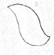 Use your pencil freely and draw the first petal like this Image II - photo 1