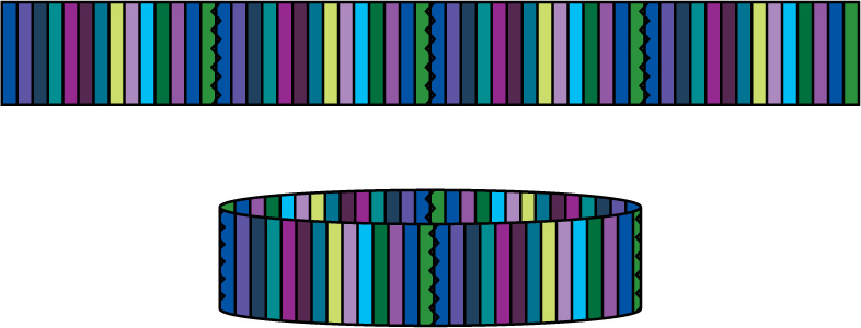 Figure 5 Working around the step 5 tube count out 14 strips and mark each - photo 9