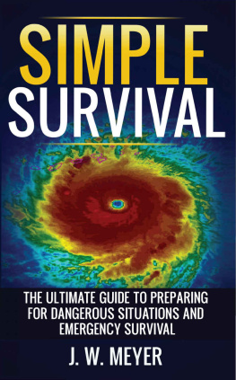 J. W. Meyer Simple Survival: The Ultimate Guide to Preparing for Dangerous Situations and Emergency Survival