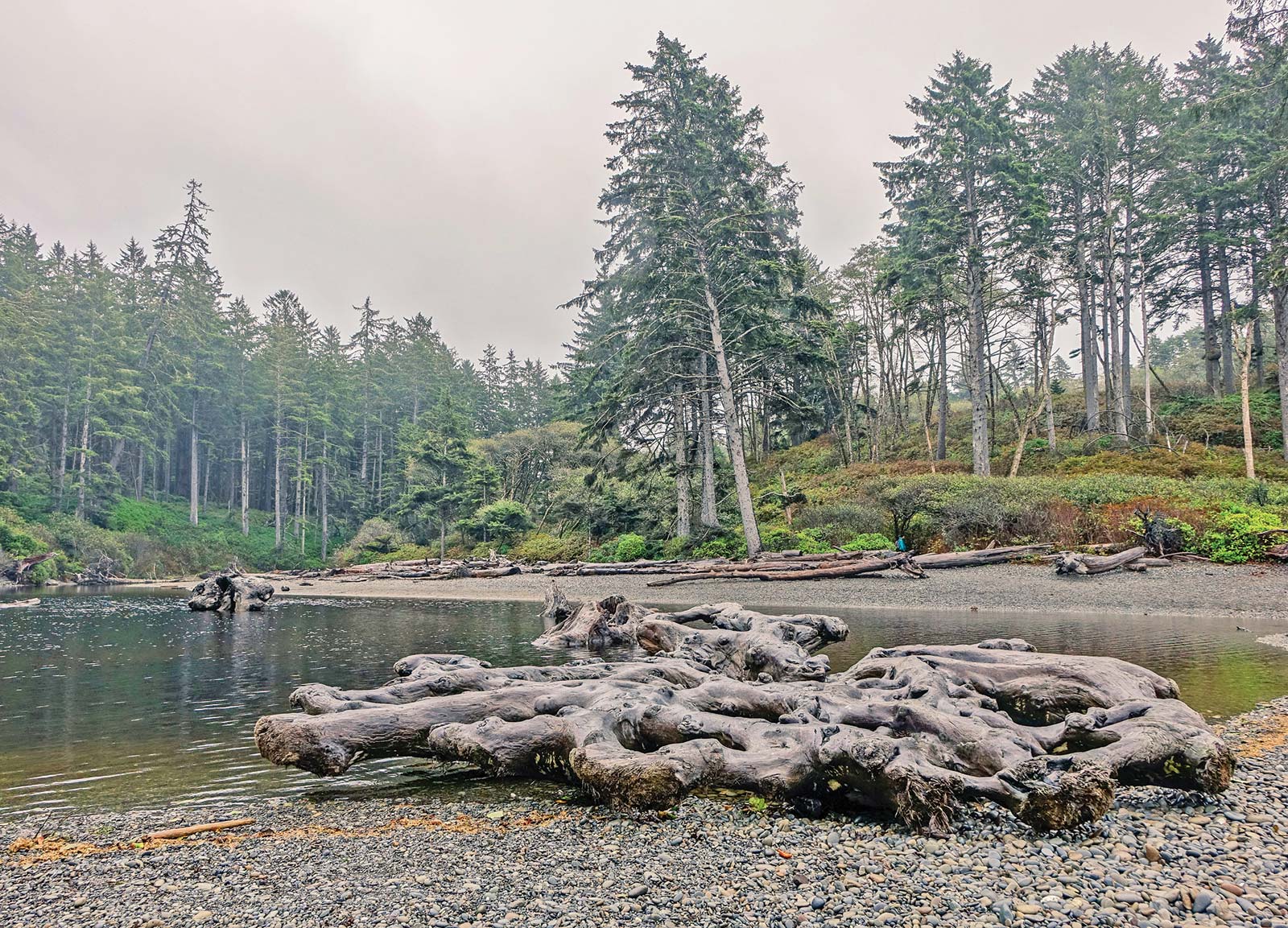 Learn about the vibrant culture of the Makah people who live along Neah Bay - photo 16