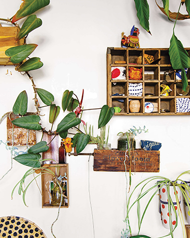 A plant collage on a wall in Adam Pogues loft see CONTENTS A corner - photo 7